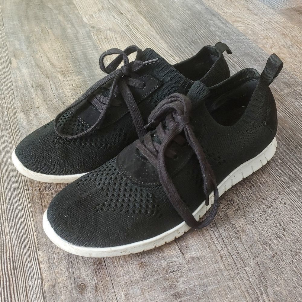 Steve Madden Farson Black sneakers